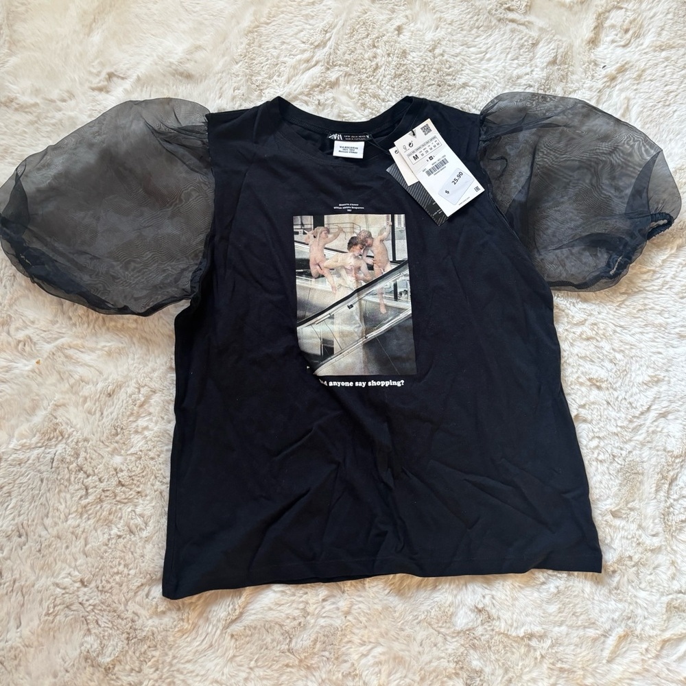 Black Zara Top with Sheer Sleeves